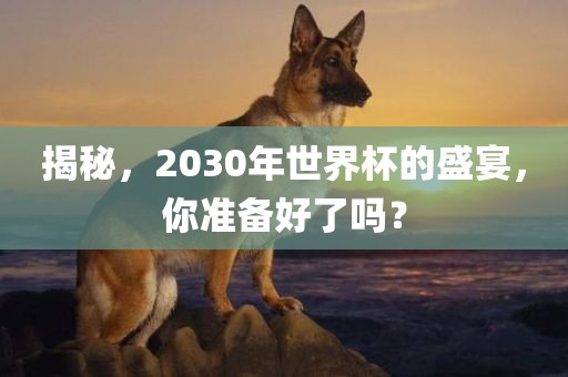 揭秘,2030年世界杯的盛宴,你准备好了吗?