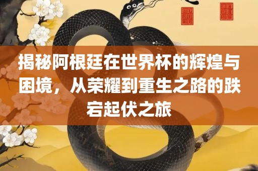 揭秘阿根廷在世界杯的辉煌与困境，从荣耀到重生之路的跌宕起伏之旅