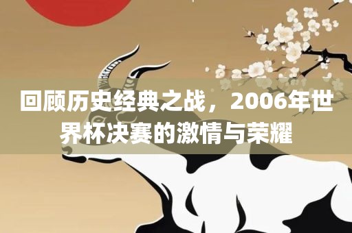 回顾历史经典之战,2006年世界杯决赛的激情与荣耀