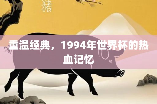 重温经典,1994年世界杯的热血记忆