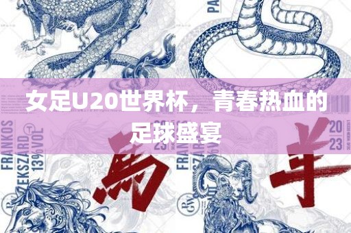 女足U20世界杯,青春热血的足球盛宴