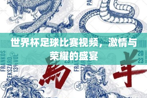 世界杯足球比赛视频,激情与荣耀的盛宴