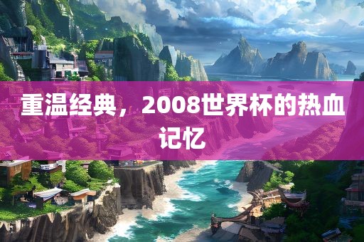重温经典,2008世界杯的热血记忆