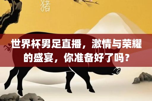 世界杯男足直播,激情与荣耀的盛宴,你准备好了吗?