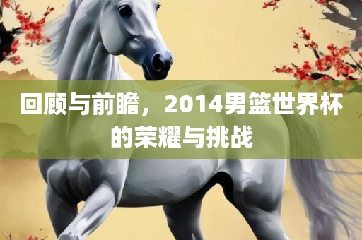 回顾与前瞻，2014男篮世界杯的荣耀与挑战