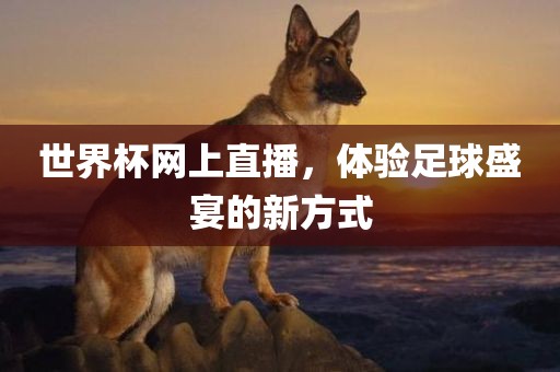 世界杯网上直播,体验足球盛宴的新方式