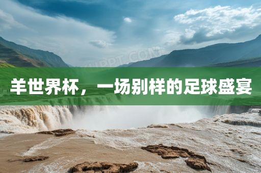 羊世界杯，一场别样的足球盛宴
