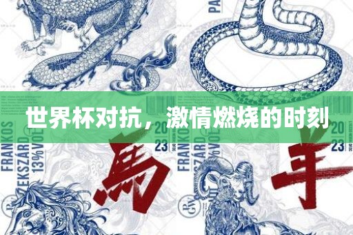 世界杯对抗，激情燃烧的时刻