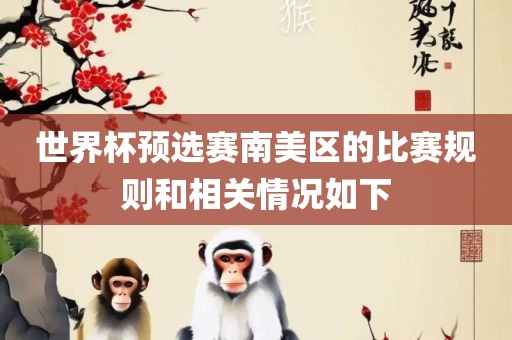 世界杯预选赛南美区的比赛规则和相关情况如下