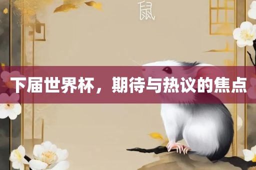 下届世界杯,期待与热议的焦点