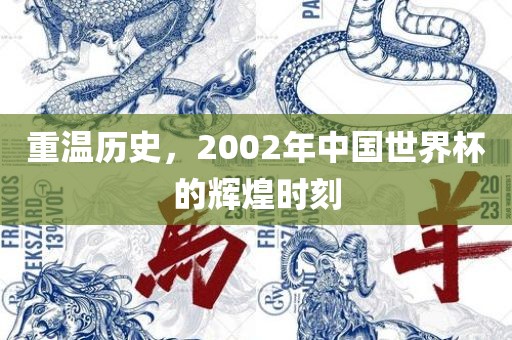 重温历史,2002年中国世界杯的辉煌时刻