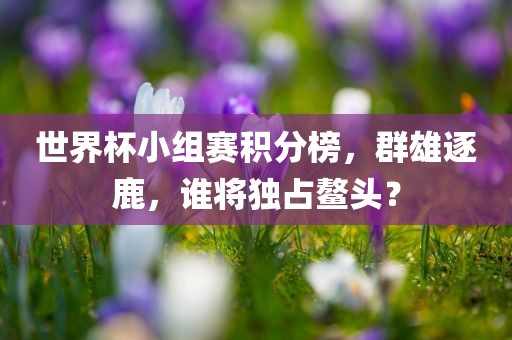 世界杯小组赛积分榜,群雄逐鹿,谁将独占鳌头?