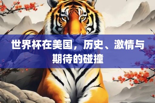 世界杯在美国,历史、激情与期待的碰撞