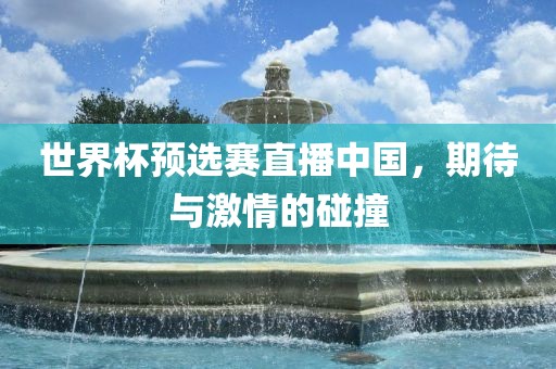 世界杯预选赛直播中国,期待与激情的碰撞