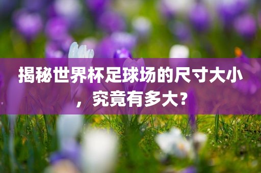 揭秘世界杯足球场的尺寸大小,究竟有多大?