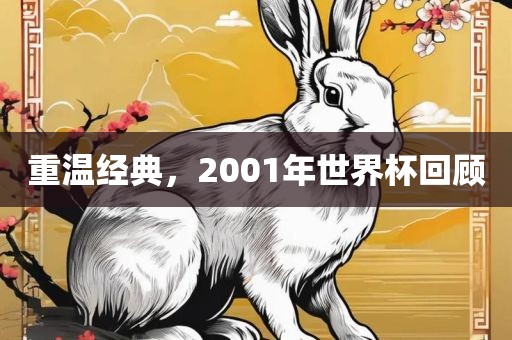 重温经典,2001年世界杯回顾