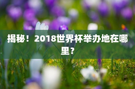 揭秘！2018世界杯举办地在哪里？