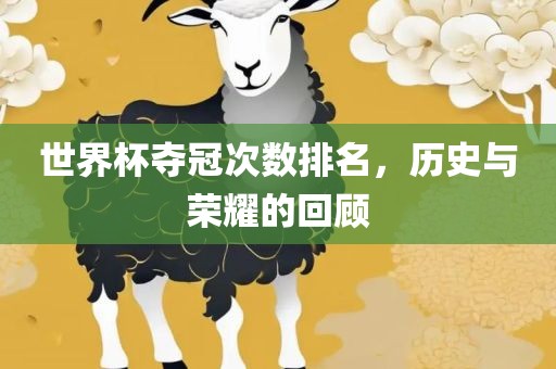 世界杯夺冠次数排名，历史与荣耀的回顾