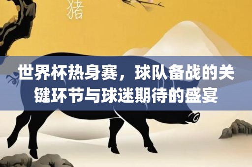 世界杯热身赛,球队备战的关键环节与球迷期待的盛宴