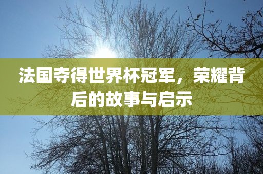 法国夺得世界杯冠军，荣耀背后的故事与启示