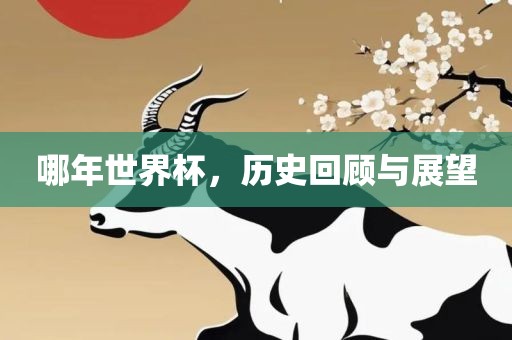 哪年世界杯，历史回顾与展望