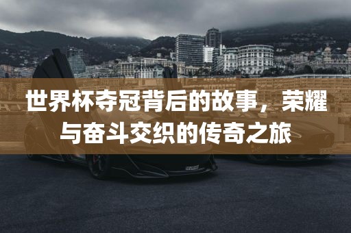 世界杯夺冠背后的故事,荣耀与奋斗交织的传奇之旅