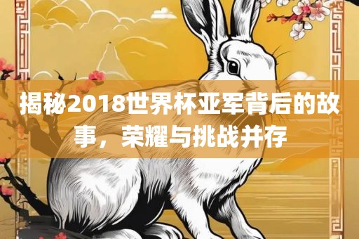 揭秘2018世界杯亚军背后的故事,荣耀与挑战并存