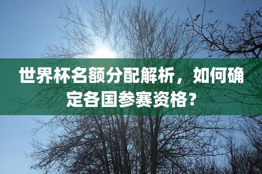世界杯名额分配解析，如何确定各国参赛资格？