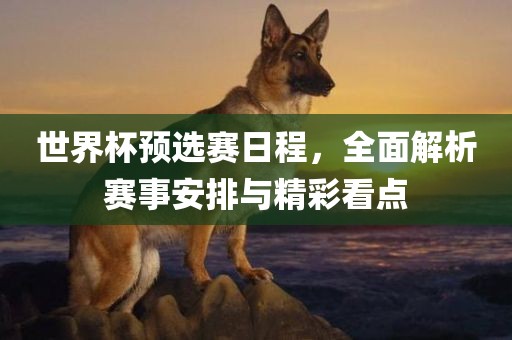 世界杯预选赛日程,全面解析赛事安排与精彩看点