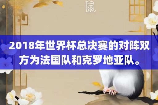 2018年世界杯总决赛的对阵双方为法国队和克罗地亚队。