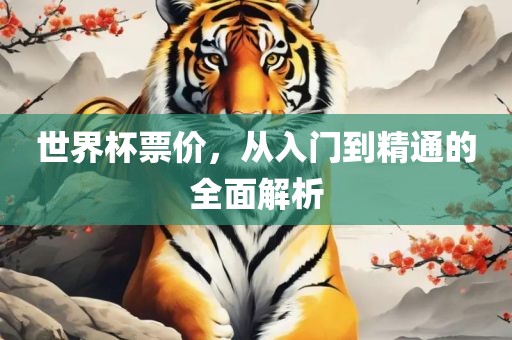 世界杯票价,从入门到精通的全面解析