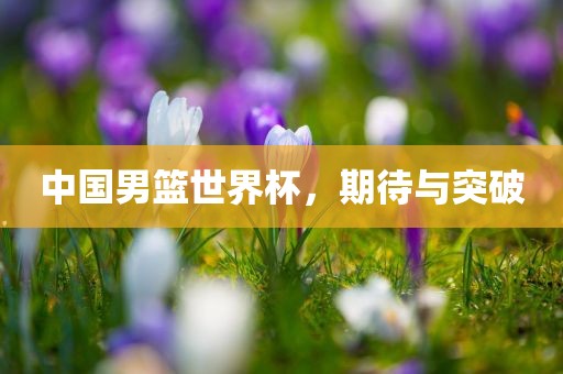 中国男篮世界杯,期待与突破