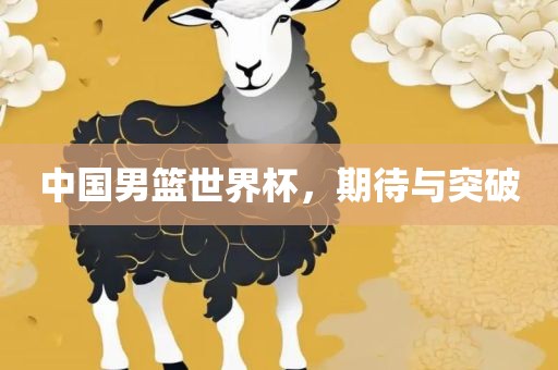 中国男篮世界杯,期待与突破