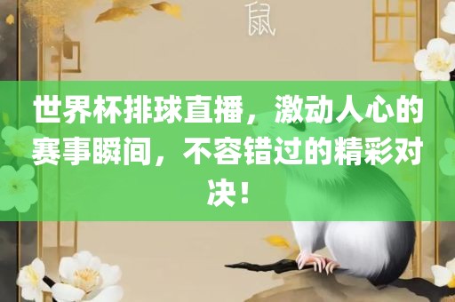 世界杯排球直播,激动人心的赛事瞬间,不容错过的精彩对决!
