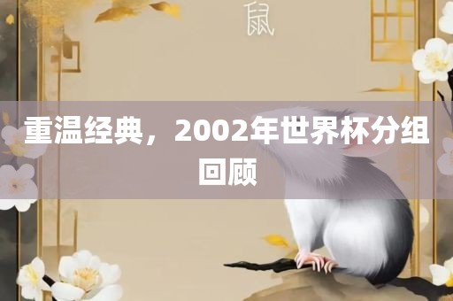 重温经典,2002年世界杯分组回顾