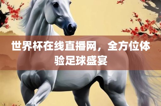 世界杯在线直播网,全方位体验足球盛宴
