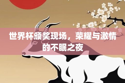 世界杯颁奖现场,荣耀与激情的不眠之夜