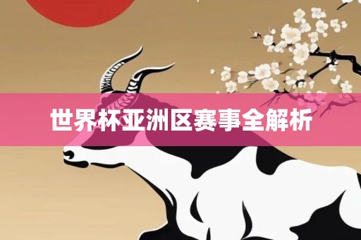 世界杯亚洲区赛事全解析