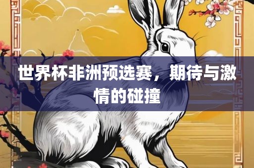 世界杯非洲预选赛,期待与激情的碰撞