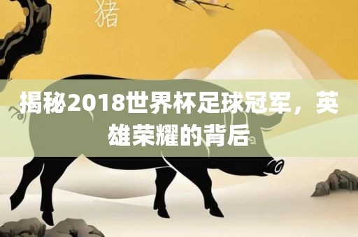 揭秘2018世界杯足球冠军,英雄荣耀的背后