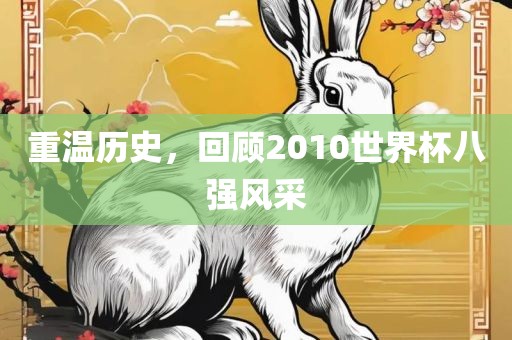 重温历史,回顾2010世界杯八强风采