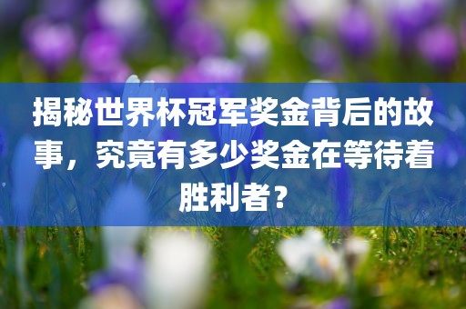 揭秘世界杯冠军奖金背后的故事,究竟有多少奖金在等待着胜利者?