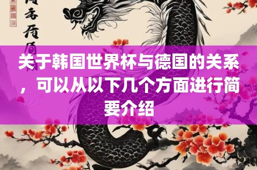 关于韩国世界杯与德国的关系,可以从以下几个方面进行简要介绍
