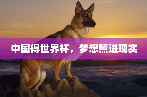 中国得世界杯,梦想照进现实