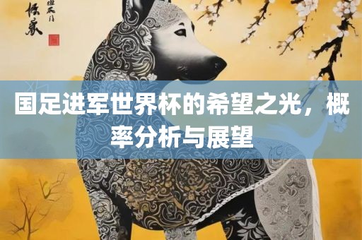 国足进军世界杯的希望之光,概率分析与展望