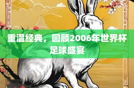 重温经典,回顾2006年世界杯足球盛宴