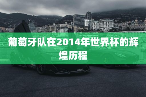 葡萄牙队在2014年世界杯的辉煌历程