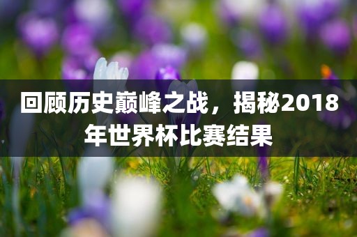 回顾历史巅峰之战，揭秘2018年世界杯比赛结果