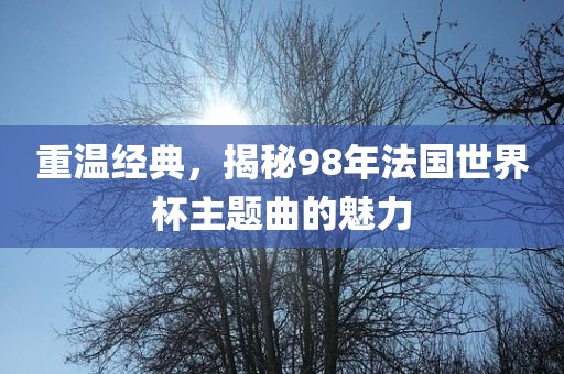 重温经典,揭秘98年法国世界杯主题曲的魅力