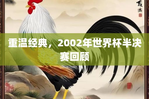 重温经典,2002年世界杯半决赛回顾